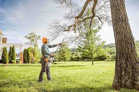 Best Organic Lawn Care Solutions  in Aloha, OR