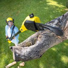 Best Landscape Design and Installation  in Aloha, OR